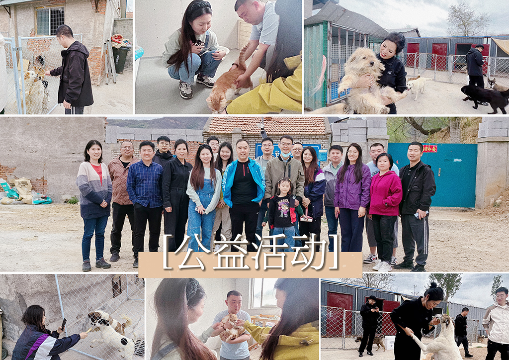 北京盛典博覽公司展現(xiàn)企業(yè)社會責(zé)任，探訪流浪狗基地并舉辦爬山團(tuán)建